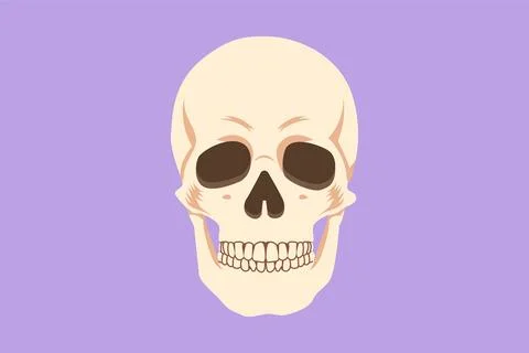 Graphic flat design drawing of head skull logo, icon, label, symbol. Anatom.. イラスト素材