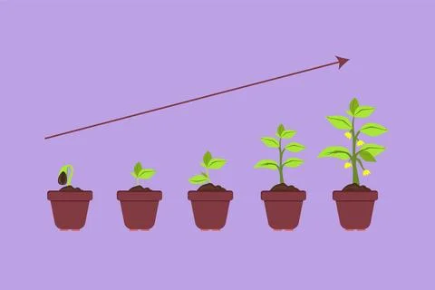 Graphic flat design drawing infographic of planting tree. Seeds sprout in p.. Stock Illustration