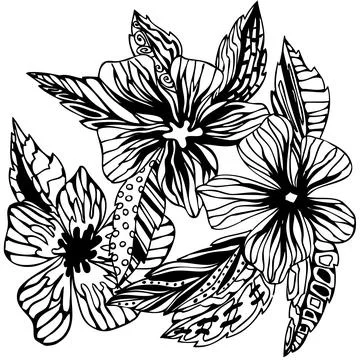 Graphic flower, hand-drawing vector Stock-Illustration