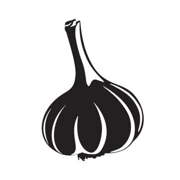 Graphic garlic silhouette Illustrazione stock