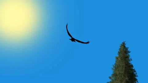 Graphic illustration of an eagle flying in the blue sky Video stock 242066543