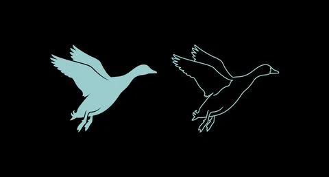 Graphic illustration of a flying duck as solid silhouette and line art Stock Illustration