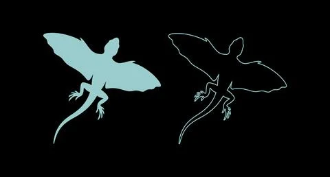 Graphic illustration of a flying lizard in solid and outline style with wil.. Stock Illustration