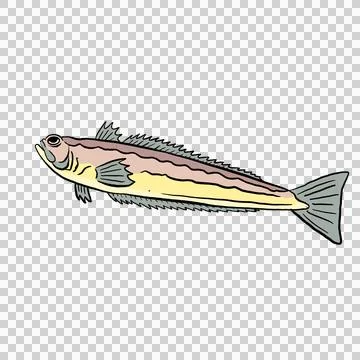 Graphic Illustration of a Gold Fish Design Cartoon Fishing Stock Illustration