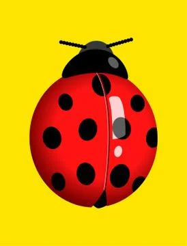 Graphic illustration of a lady bug Stock Illustration