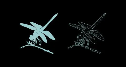 Graphic illustration set of dragonfly in solid silhouette and line art outlin Stock Illustration