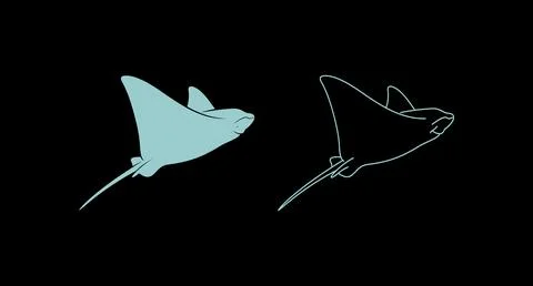 Graphic illustration set of stingray in solid silhouette and line art outline Stock Illustration
