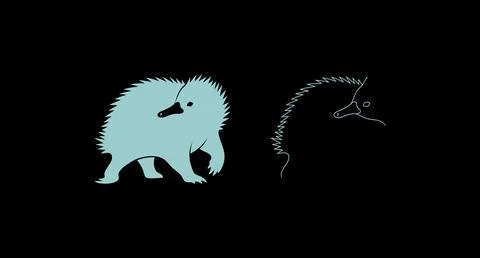 Graphic illustration of a standing echidna as solid silhouette and line art Stock Illustration