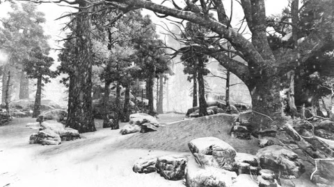 Graphic illustration on the theme of nature, landscape, and ecology. Stock Footage 321961797