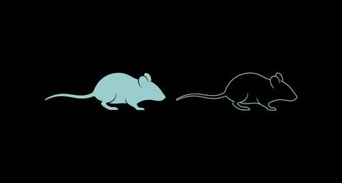 Graphic illustration of a walking mouse as solid silhouette and line art Stock Illustration