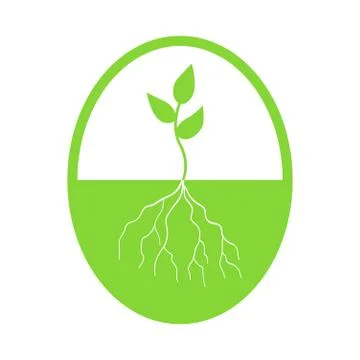 Graphic illustration of young tree with root Stock Illustration