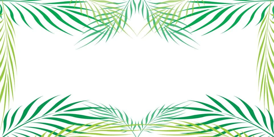 Graphic Leaves of coconut abstract pattern Vector illustration. Stock Illustration