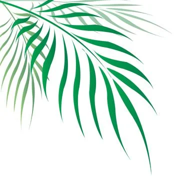 Graphic Leaves Vector illustration. 스톡 일러스트