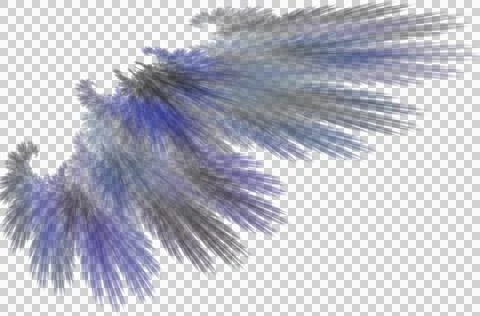 Graphic linear drawing of a wing in blue tones, isolated element, decor Stock Illustration