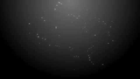 Graphic of the microchip abstraction scheme creating itself on the dark grey Stock Footage 101205904