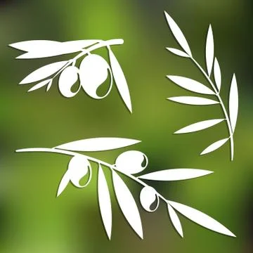 Graphic olive tree branches Stock Illustration