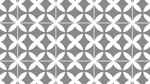 Graphic pattern in black and white with stroboscopic and hypnotic effect. Stock Footage 129009876
