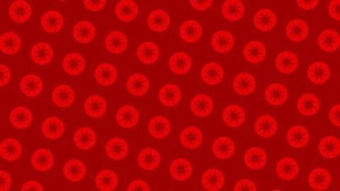 Graphic pattern that creating a hypnotic and stroboscopic effect. Stock Footage 118248359