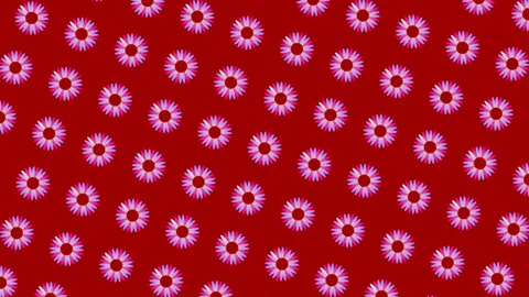 Graphic pattern that creating a hypnotic and stroboscopic effect. Video stock 120350070