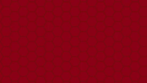 Graphic pattern that creating a hypnotic and stroboscopic effect. Stock Footage 124039748