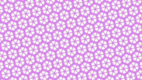 Graphic pattern that creating a hypnotic and stroboscopic effect. Stock Footage 132546305