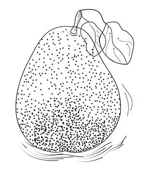 Graphic pear Stock Illustration