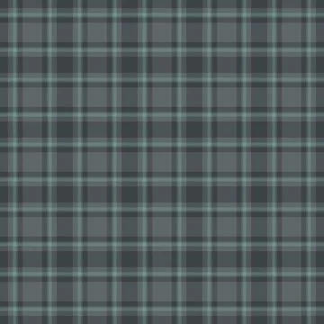 Graphic plaid fabric pattern, femininity texture vector tartan. Internation.. Stock Illustration