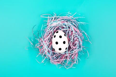 Graphic polka dot hand-painted egg in decorative nest on blue pastel background. Stock Photos