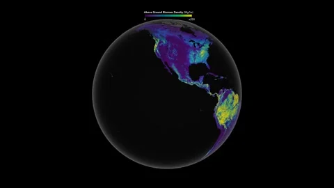 Graphic representation of biomass on the surface of the planet Earth. Elements Vídeo Stock 330610357