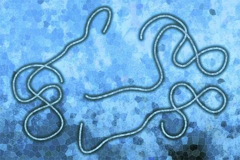 Graphic representation of the Ebola virus on blue background Stock Illustration