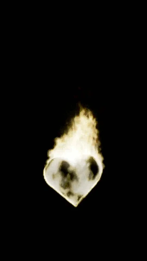 Graphic representation of heart consumed by fire Stock Footage 278702061