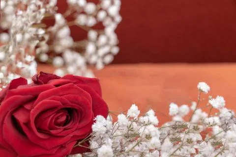 Graphic resource, red background border of white flowers with a red rose in clos Stock Photos