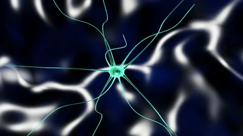 Graphic simulation of a neuronal cell - 4k - ProRes Stock Footage 145345040