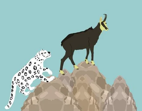 Graphic Snow leopard chasing chamois goat on cliff Stock Illustration