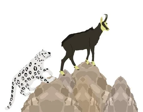 Graphic Snow leopard chasing chamois goat on cliff Stock Illustration