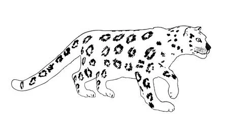 Graphic Snow leopard chasing vector illustration isolated Stock Illustration