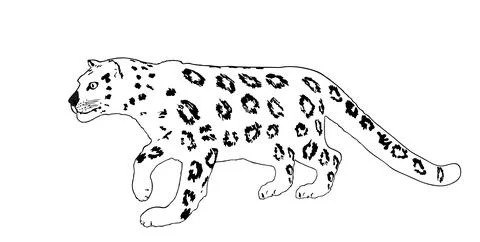 Graphic Snow leopard chasing vector illustration isolated Stock Illustration