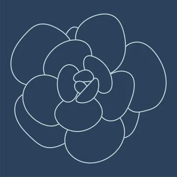 Graphic succulent. Hand drawn vector flat illustration, sketch. Element for Stock Illustration
