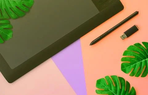 Graphic tablet and pen, memory card and monstera leafs Stock Photos