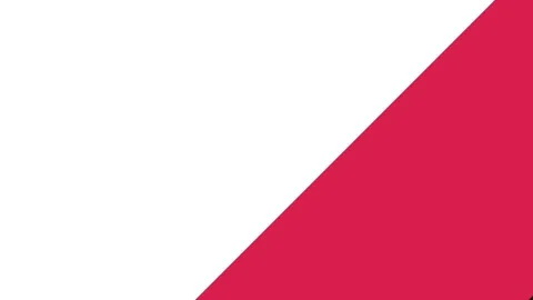 Graphic Transition with Black Red White Geometric Shapes Cinematic Motion Stock Footage 340944137