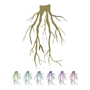 Graphic tree root vector cartoon graphic Illustrazione stock