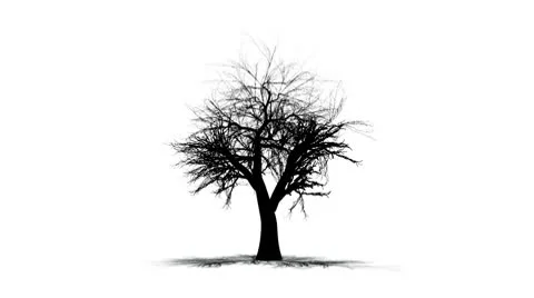 Graphic Tree Zoom In to network Stock Footage 10775270