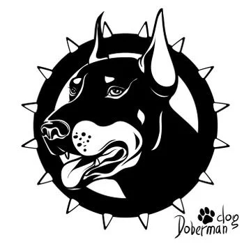 Graphic vector drawing of a dog head, service breed Doberman, fighting dog Stock Illustration