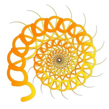 Graphic vector image of a shell of an ancient malyuska. Abstract background,  Stock Illustration