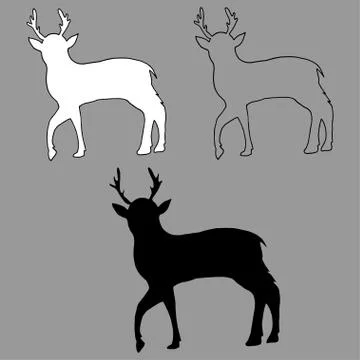 Graphic vector outline, white and black silhouette of a young deer Stock Illustration
