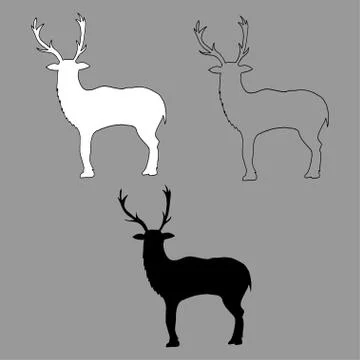 Graphic vector outline, white and black silhouette of a deer Stock Illustration