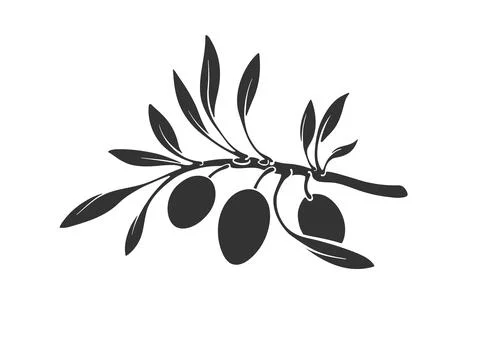 Graphic vector silhouettes of olive tree branch Stock Illustration