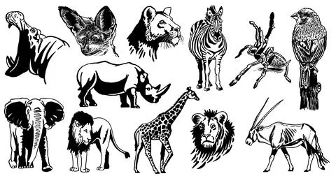 Graphical big collection of animals on white background, vector illustration Stock Illustration