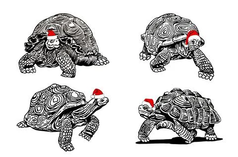Graphical christmas elements , turtles in red Santa Claus hat isolated on white 스톡 일러스트