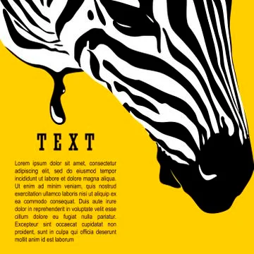 Graphical poster with head zebra closeup on yellow background, vector illustr Stock Illustration